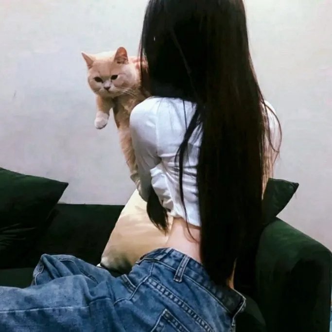 飞女正传